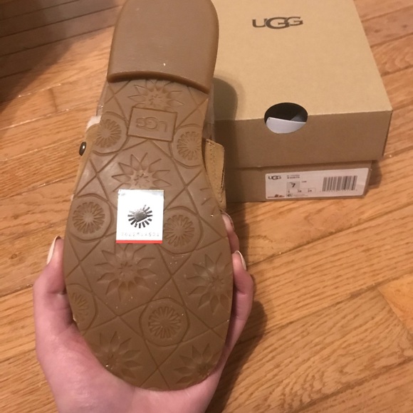 Ugg evalita - Picture 5 of 5